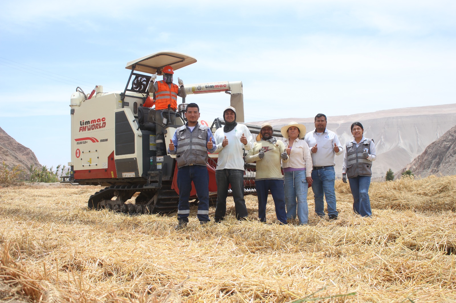 Programa de Cosecha de Trigo 2025 atendió a más de 250 agricultores del valle de Tambo