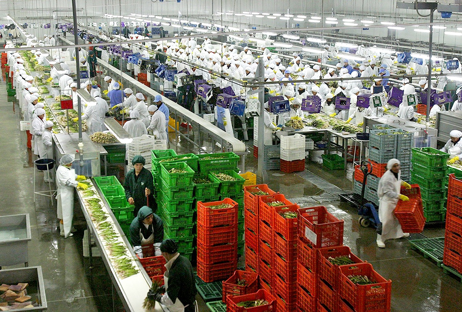 Arequipa fue el tercer departamento con las mayores exportaciones del Perú en 2025