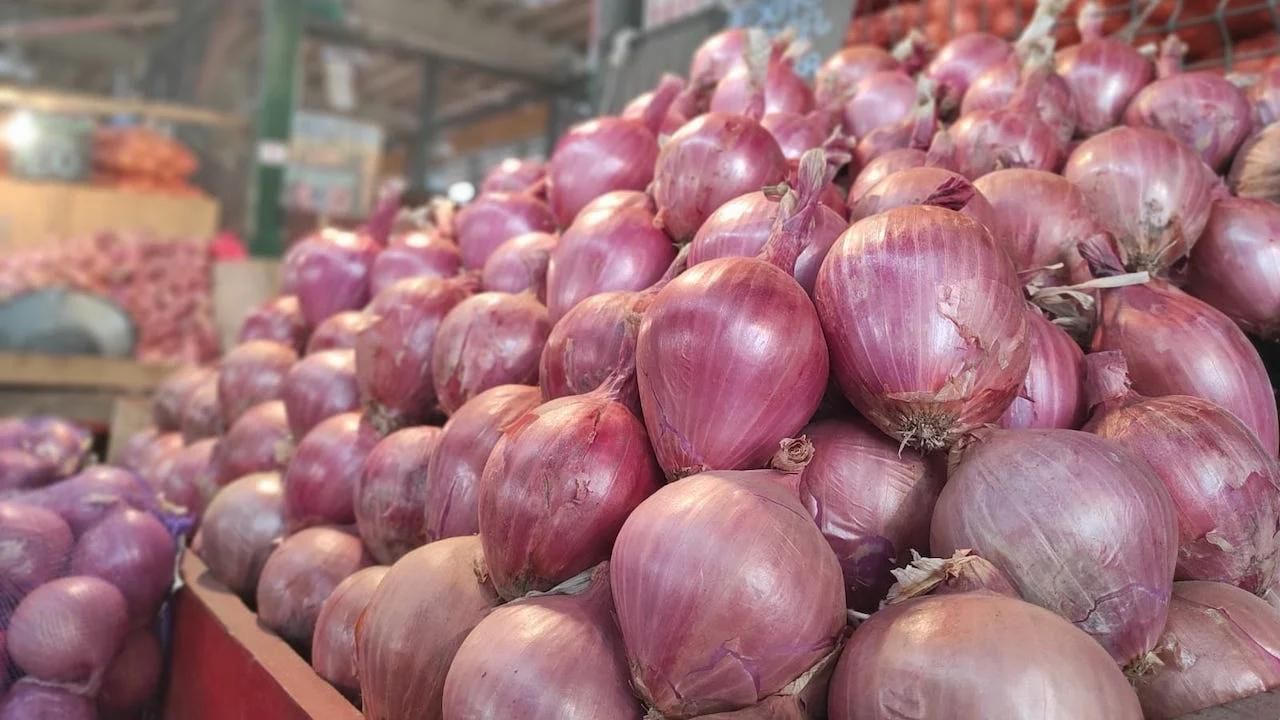 Del campo a la cocina: la cebolla que impulsa la economía de Arequipa