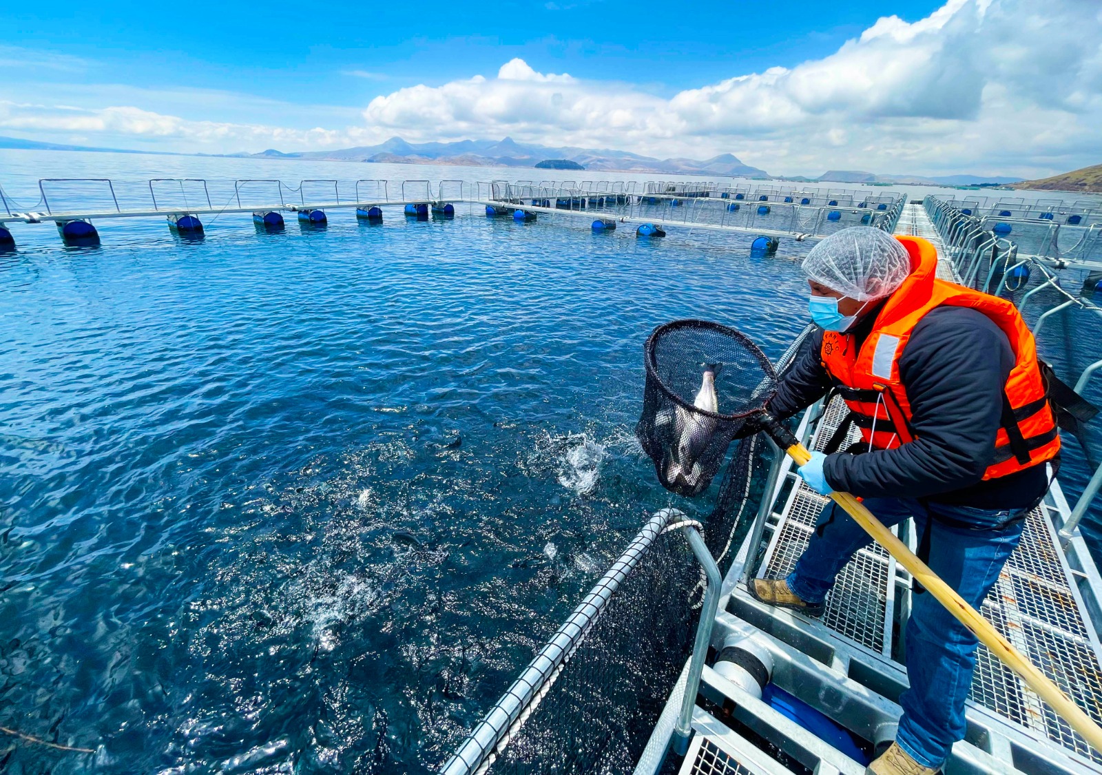 Perú lidera en APEC nueva herramienta para detectar a tiempo enfermedades que amenazan la producción de tilapia y trucha