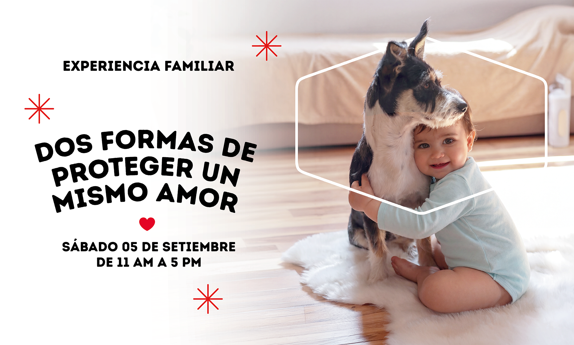 Dog Chow y Huggies realizarán una jornada gratuita de juegos y actividades para niños y mascotas