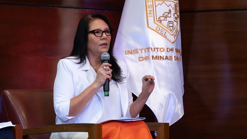 Perú busca aprovechar la demanda de 60 minerales críticos de EE. UU., pero un proyecto minero debe superar 265 trámites
